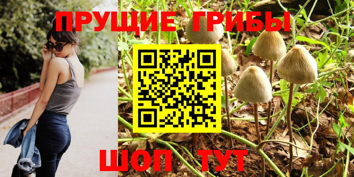 Галлюциногенные грибы Psilocybe Новосибирск