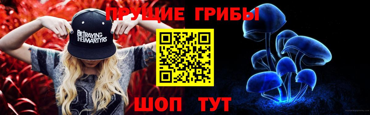 Новосибирск  сколько стоит  Вход с VPN  Псилоцибиновые грибы GOLDEN TEACHER  Псилоцибиновые грибы Cubensis 